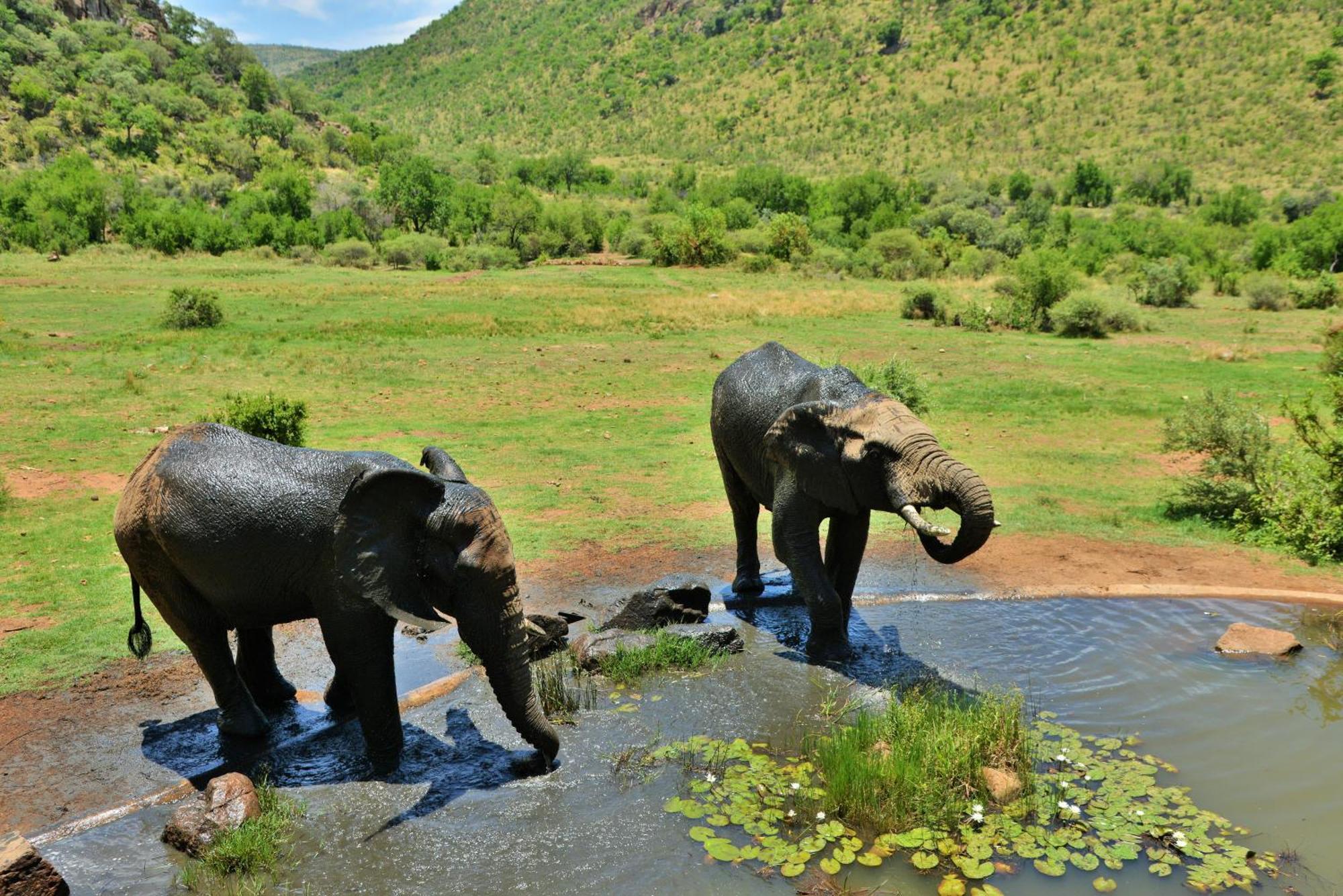Kwa Maritane Lodge Ledig Buitenkant foto