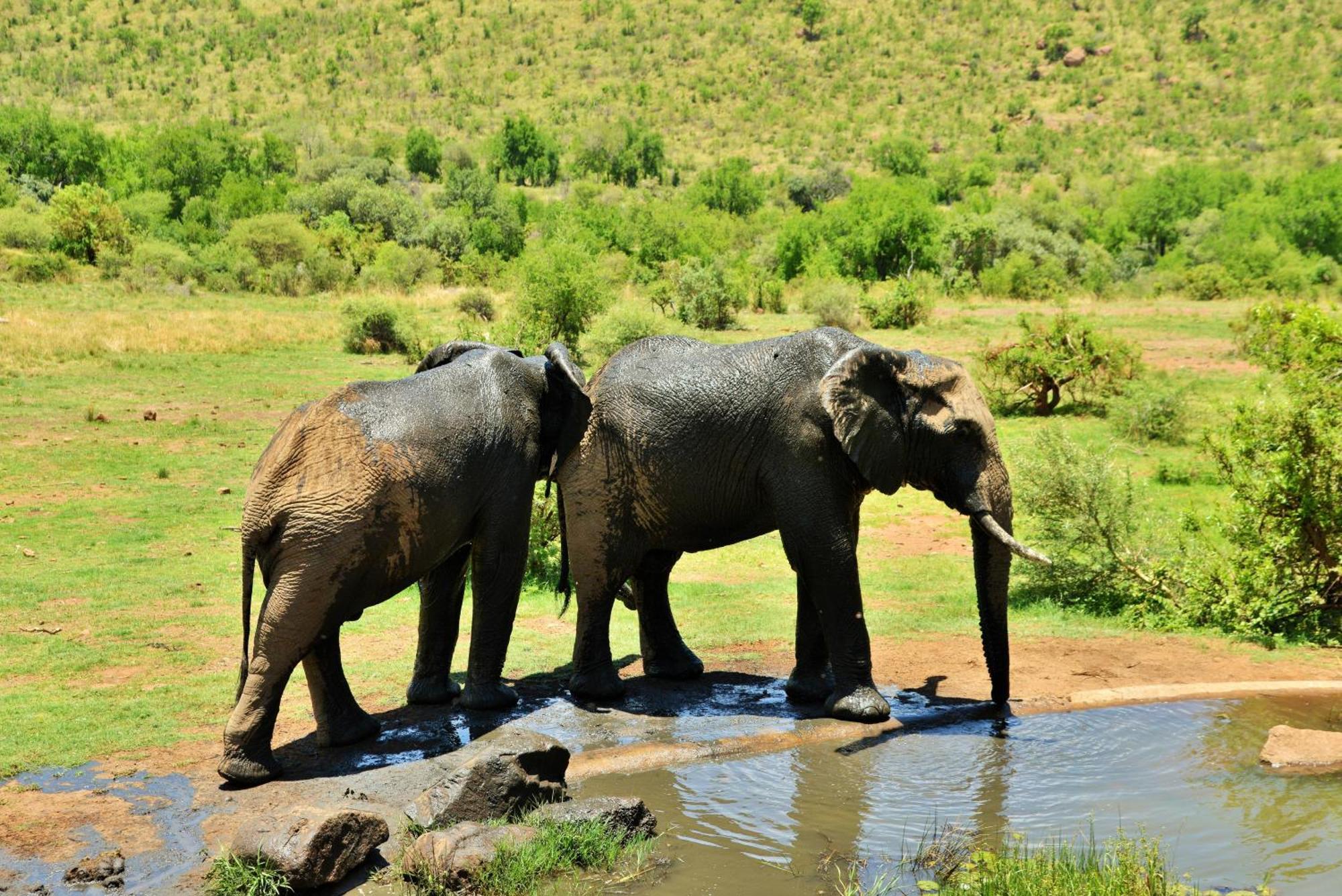 Kwa Maritane Lodge Ledig Buitenkant foto
